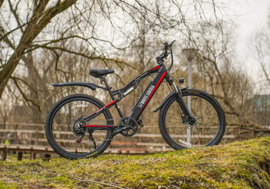 Лучшие производители электровелосипедов на российском рынке