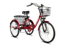 Электровелосипед РВЗ Чемпион 24 Электровелосипед РВЗ Чемпион 24