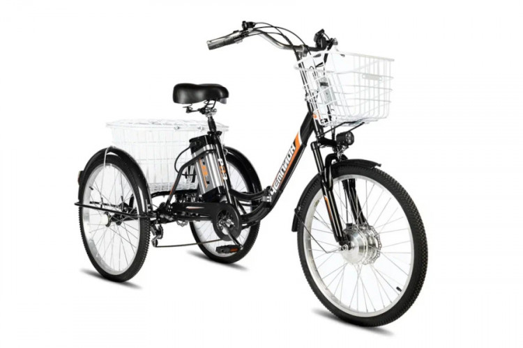 Электровелосипед РВЗ Чемпион 24 складной в Санкт-Петербурге