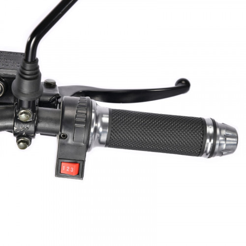 Электроскутер White Siberia TRIKE MINI 1500W в Санкт-Петербурге