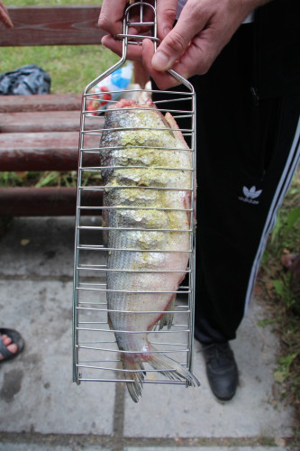 Решетка для рыбы в Санкт-Петербурге