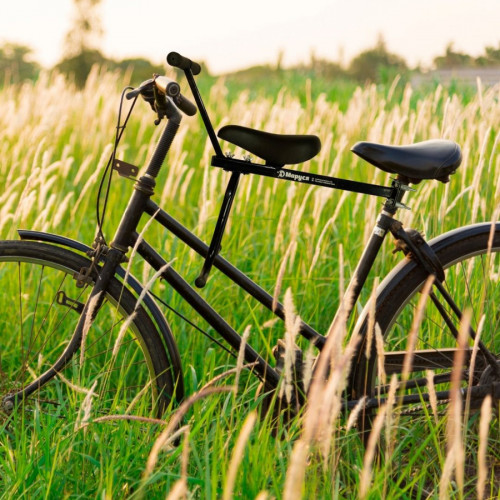 Велокресло переднее Маруся Max с ручкой в Санкт-Петербурге