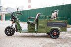 Грузовой электрический трицикл RuTrike Вояж П Трансформер в Санкт-Петербурге