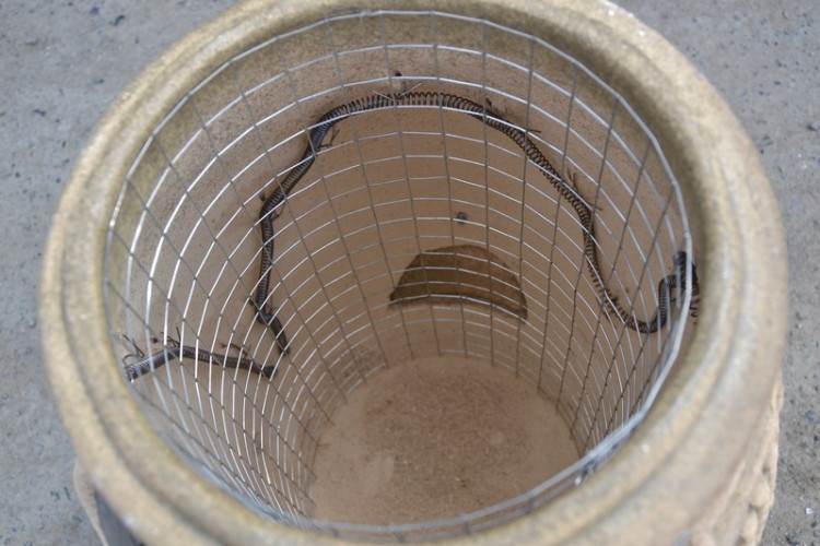 Тандыр Электрический Малый в Санкт-Петербурге