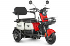 Электротрицикл Rutrike Gelbert Vega в Санкт-Петербурге
