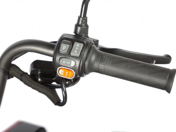 Пассажирский электротрицикл Wanshida LC-F200 в Санкт-Петербурге