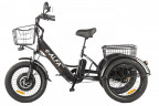 Электрофэтбайк Eltreco Green City e-ALFA Trike в Санкт-Петербурге