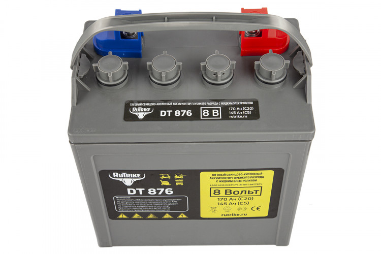 Тяговый аккумулятор RuTrike WET DT876 (T-875) 8V120A/H C3 в Санкт-Петербурге