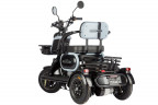 Электротрицикл Wanshida UN MOTO в Санкт-Петербурге