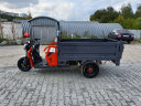 Грузовой электрический трицикл Pаntеrа Гидрaвлика 75V1500W в Санкт-Петербурге